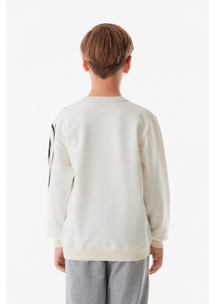 Aslan Baskılı Erkek Çocuk Sweatshirt fırsatları