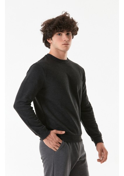 Basic Bisiklet Yaka Sweatshirt