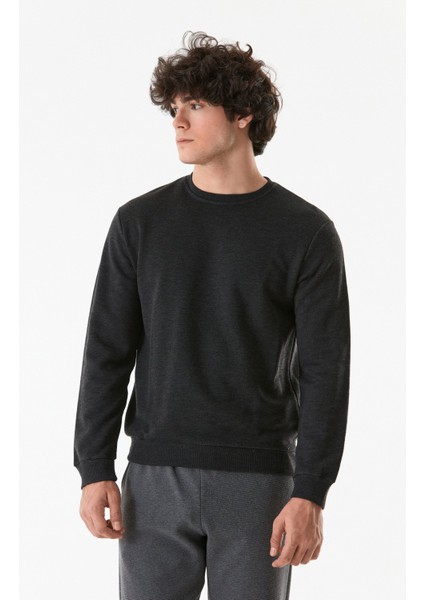 Basic Bisiklet Yaka Sweatshirt