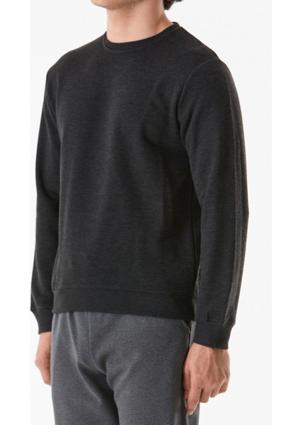 Basic Bisiklet Yaka Sweatshirt