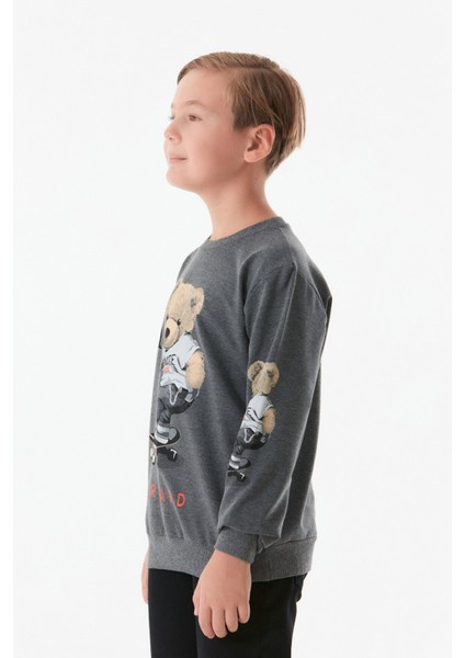 Ayıcık Baskılı Erkek Çocuk Sweatshirt
