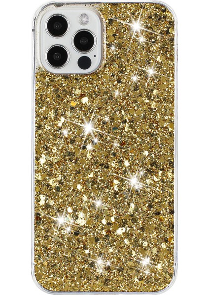 Apple iPhone 16 Pro Telefon Kılıfı (Yurt Dışından)