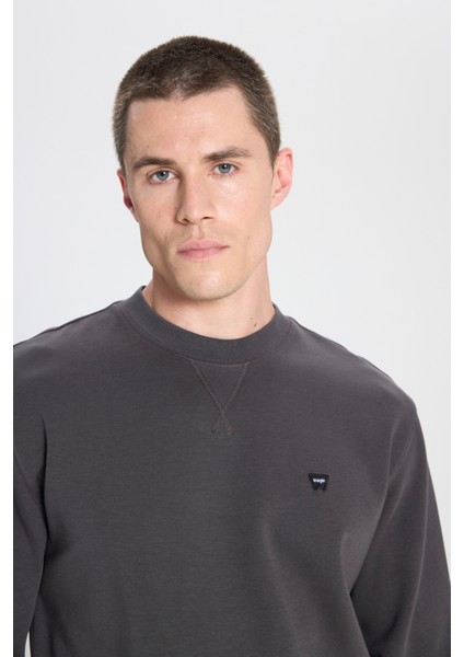 Regular Fit Normal Kesim Bisiklet Yaka Soluk Siyah Sweatshirt