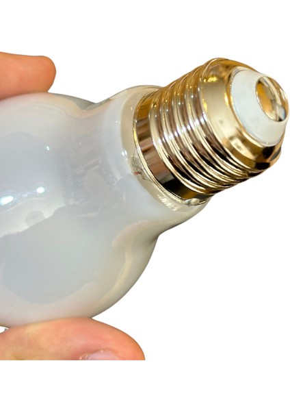 8W 2700K (Sarı Işık) E27 Duylu LED Cam Ampul (2 Adet)