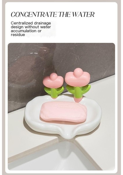 Ev Sabun Kutusu Depolaması Için Delmeden Drenaj Sabunluğu (Yurt Dışından) modelleri