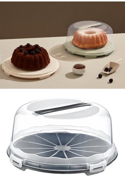 Kek Pasta Börek Saklama Kabı, Kilitli Borcam Taşıma Fanusu 34CM Büyük Boy