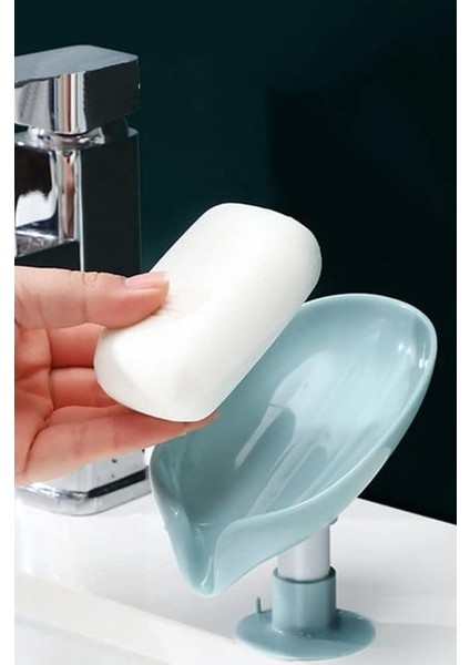 Su Giderli Sabunluk | Vantuzlu Su Tutmaz Katı Sabunluk Renkı Karışık 1 Ad