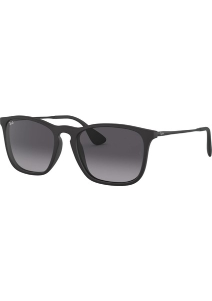 GÜNEŞ GÖZLÜĞÜ RAYBAN RB4187 622/8G54 fiyatları