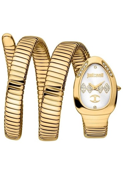 Just Cavallı JC1L230M0035 Kadın Kol Saati