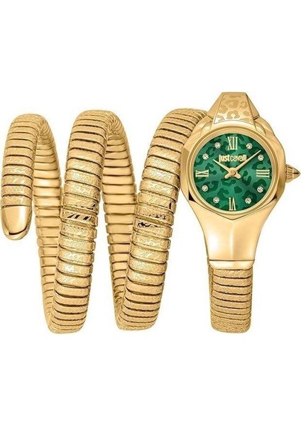 Just Cavallı JC1L271M0035 Kadın Kol Saati