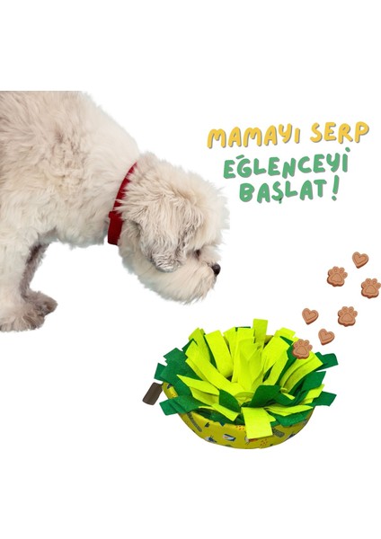 Wufsalad Orta ve Küçük Irk Köpekler Için Yavaş Besleme Koklama Matı Köpek Zeka Oyuncağı