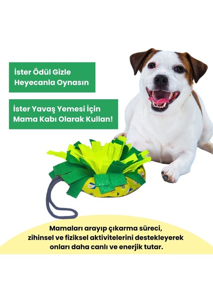 Wufsalad Orta ve Küçük Irk Köpekler Için Yavaş Besleme Koklama Matı Köpek Zeka Oyuncağı