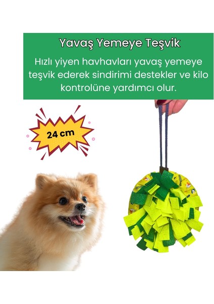 Wufsalad Orta ve Küçük Irk Köpekler Için Yavaş Besleme Koklama Matı Köpek Zeka Oyuncağı