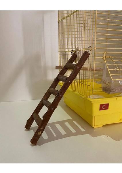 Doğal Ahşap Kuş Merdiveni modelleri