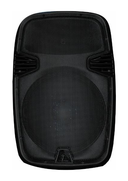 15İnç 600 Watt 2 Yollu Pasif Hoparlör