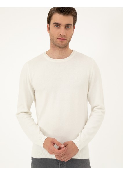 Erkek Ekru Slim Fit Bisiklet Yaka Basic Triko Kazak 50296575-VR019 modelleri