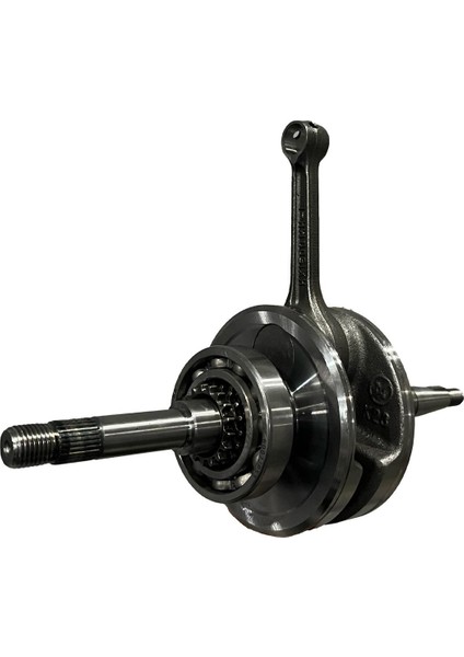 Zenzero 125 Krank Komple
