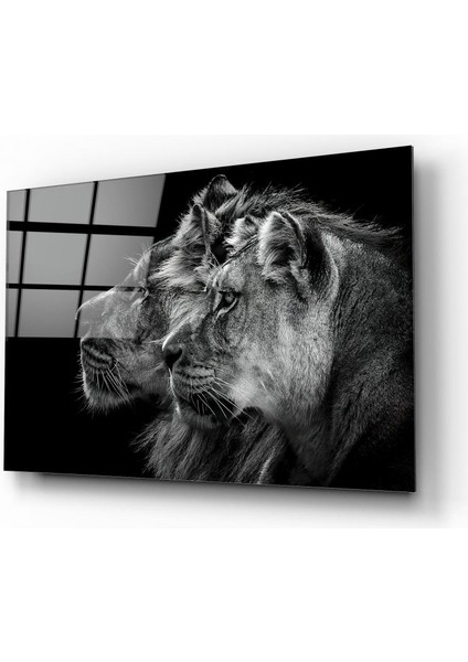 Aslan Cam Tablo | Hediyelik, Dekoratif, Ofis, Mutfak