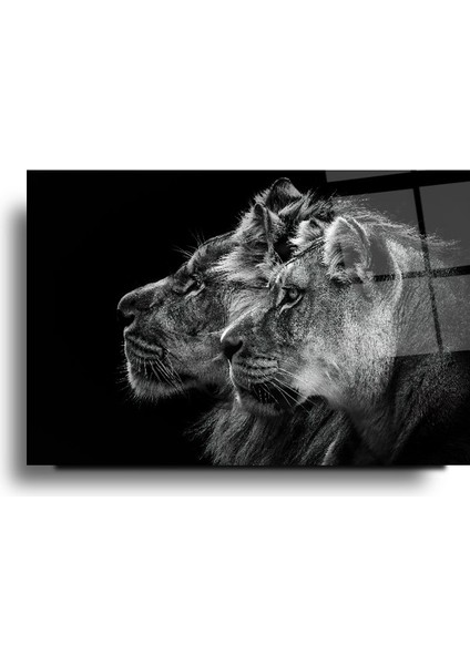 Aslan Cam Tablo | Hediyelik, Dekoratif, Ofis, Mutfak