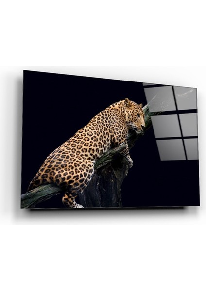 Leopar Cam Tablo | Dekoratif, Ofis, Mutfak