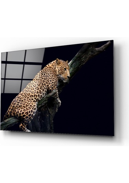 Leopar Cam Tablo | Dekoratif, Ofis, Mutfak