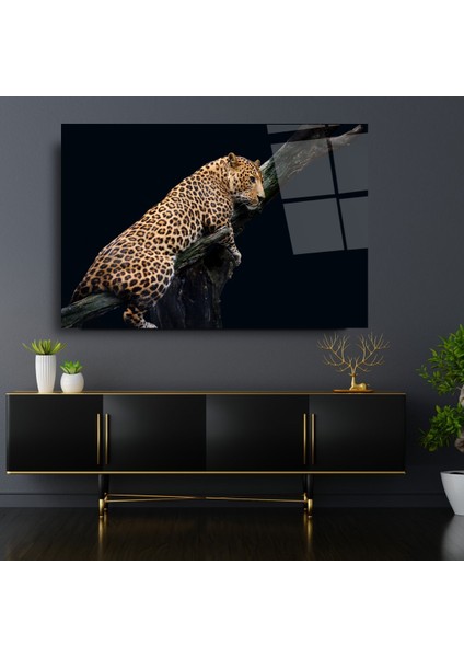 Leopar Cam Tablo | Dekoratif, Ofis, Mutfak