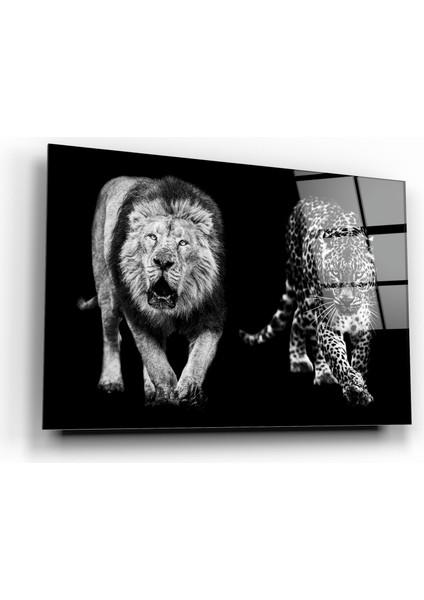 Aslan Ve Leopar Cam Tablo | Dekoratif, Ofis, Mutfak