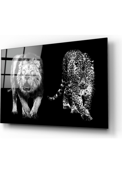 Aslan Ve Leopar Cam Tablo | Dekoratif, Ofis, Mutfak