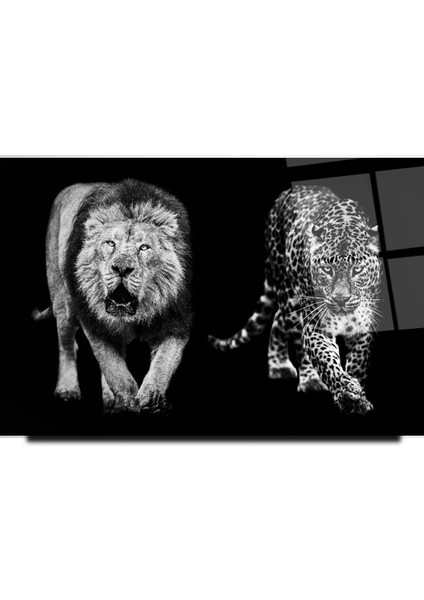 Aslan Ve Leopar Cam Tablo | Dekoratif, Ofis, Mutfak