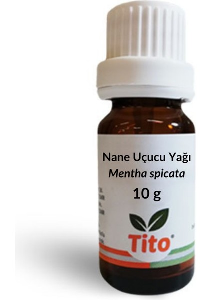 Nane Uçucu Yağı Mentha Spicata 10 gr