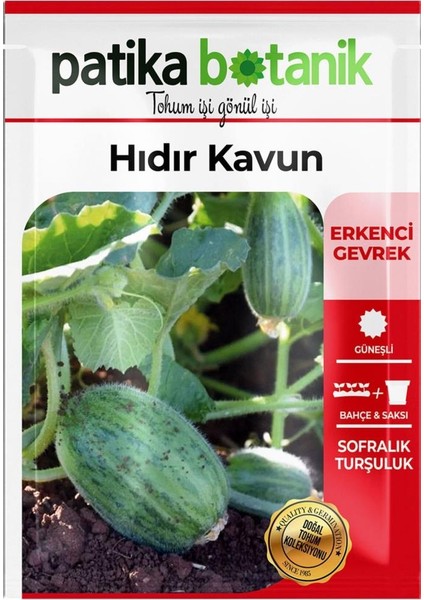 20 Adet Hıdır Kavun Tohumu