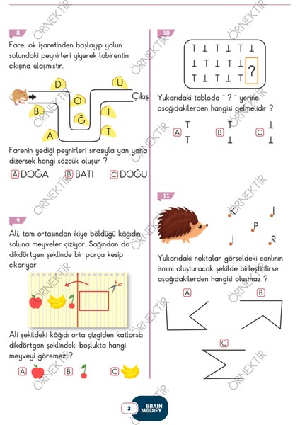 Brain Modify Yeni Nesil Soru Bankası 1. Sınıf