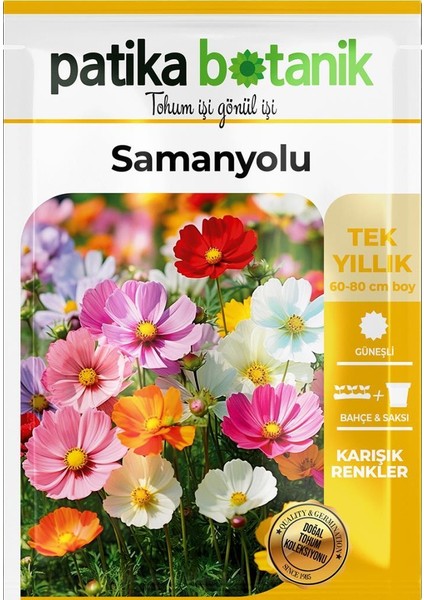 30 Adet Samanyolu (Cosmos L.) Çiçek Tohumu