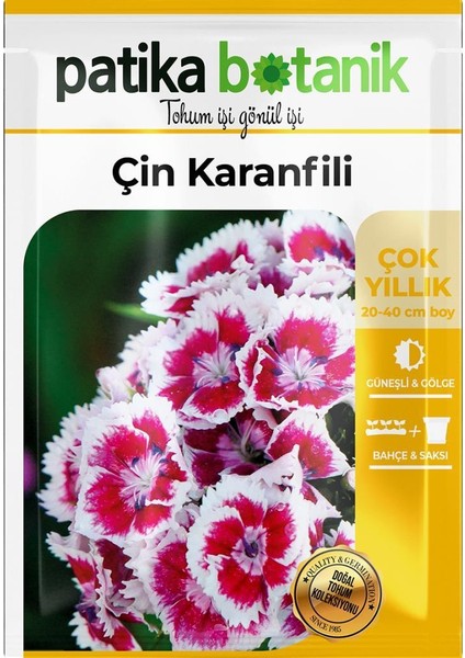 100 Adet Çin Karanfili (Dianthus Chinensis) Çiçek Tohumu