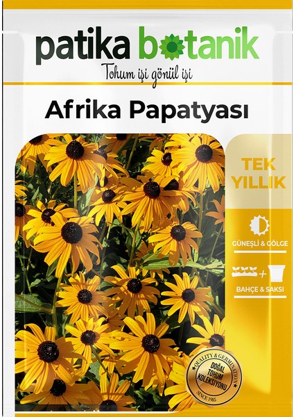 Patika Botanik Afrika Papatyası (Rudbeckia) Çiçek Tohumu 100 Adet