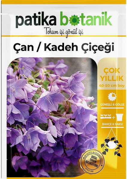 100 Adet Çan Kadeh (Campanula L.) Çiçek Tohumu