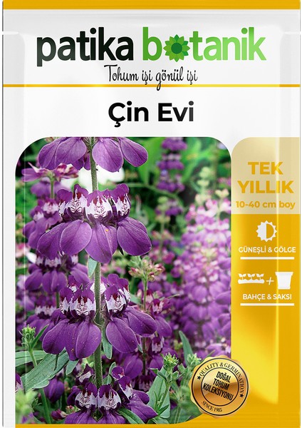 100 Adet Mor-Beyaz Çin Evi Çiçek Tohumu (Collinsia Heterophylla)