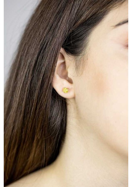 Kadın Sarı Taşlı Gümüş Tektaş Küpe fiyatları