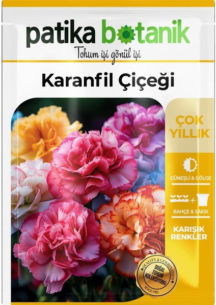 100 Adet Karanfil (Dianthus Caryophyllus) Çiçek Tohumu fiyatları