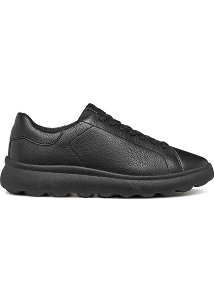 Erkek Siyah Spherica Ec4.1 Bağcıklı Deri Sneaker U45FUA00046C9999