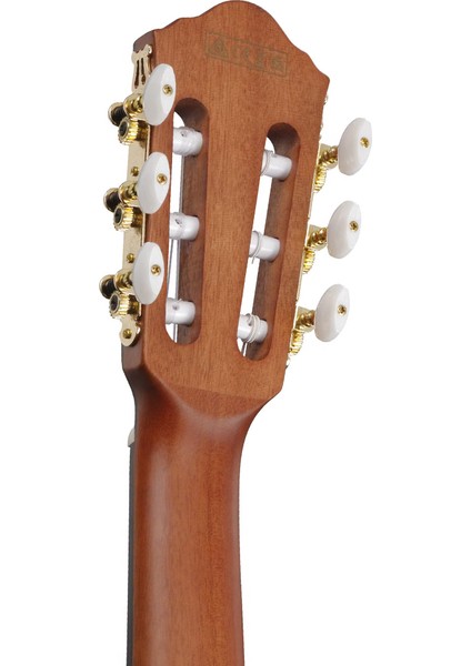 FRH10N-RGF Thinline Elektro Klasik Gitar