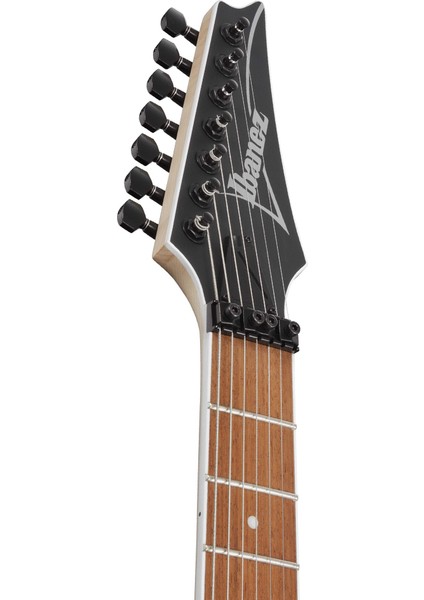 RG7420EX-BKF Elektro Gitar