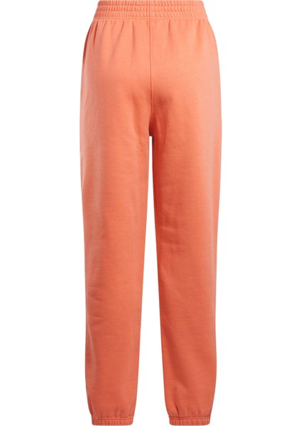 Q3 Ide Fleece Pant Yavruağzı Kadın Eşofman Altı indirimleri