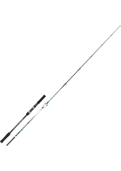 Atmos 240 cm 20-80G Atarlı Karbon Spin Olta Kamışı