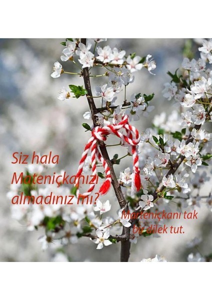 Marteniçka Dilek Bilekliği - 10 Adet modelleri