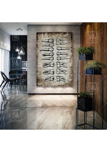 Diş Hekimi Üst ve Alt Çene Dişleri Azı ve Köpek Dişi Ağız ve Diş Kliniği Sepya Dikey Kanvas Tablo