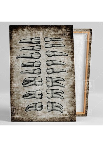 Diş Hekimi Üst ve Alt Çene Dişleri Azı ve Köpek Dişi Ağız ve Diş Kliniği Sepya Dikey Kanvas Tablo fiyatları