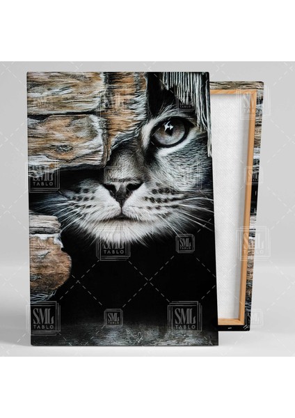 Tek Gözü Kapalı Kedi Çizimi Art Karakalem Kedi Cat Dikey Kanvas Tablo