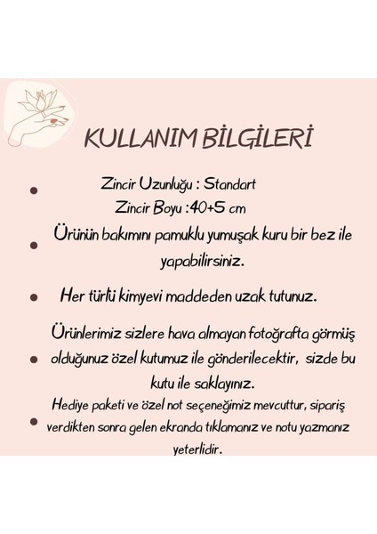 925 Ayar Gümüş Rose Ç Harfli Kolye, Zarif ve Şık Tasarım, Zirkon Taşlı, Beyaz Renk