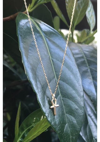 Şık Gümüş Ankh Kolye, Zarif Tasarım, 925 Ayar, Doğal Taş, Altın Renk modelleri